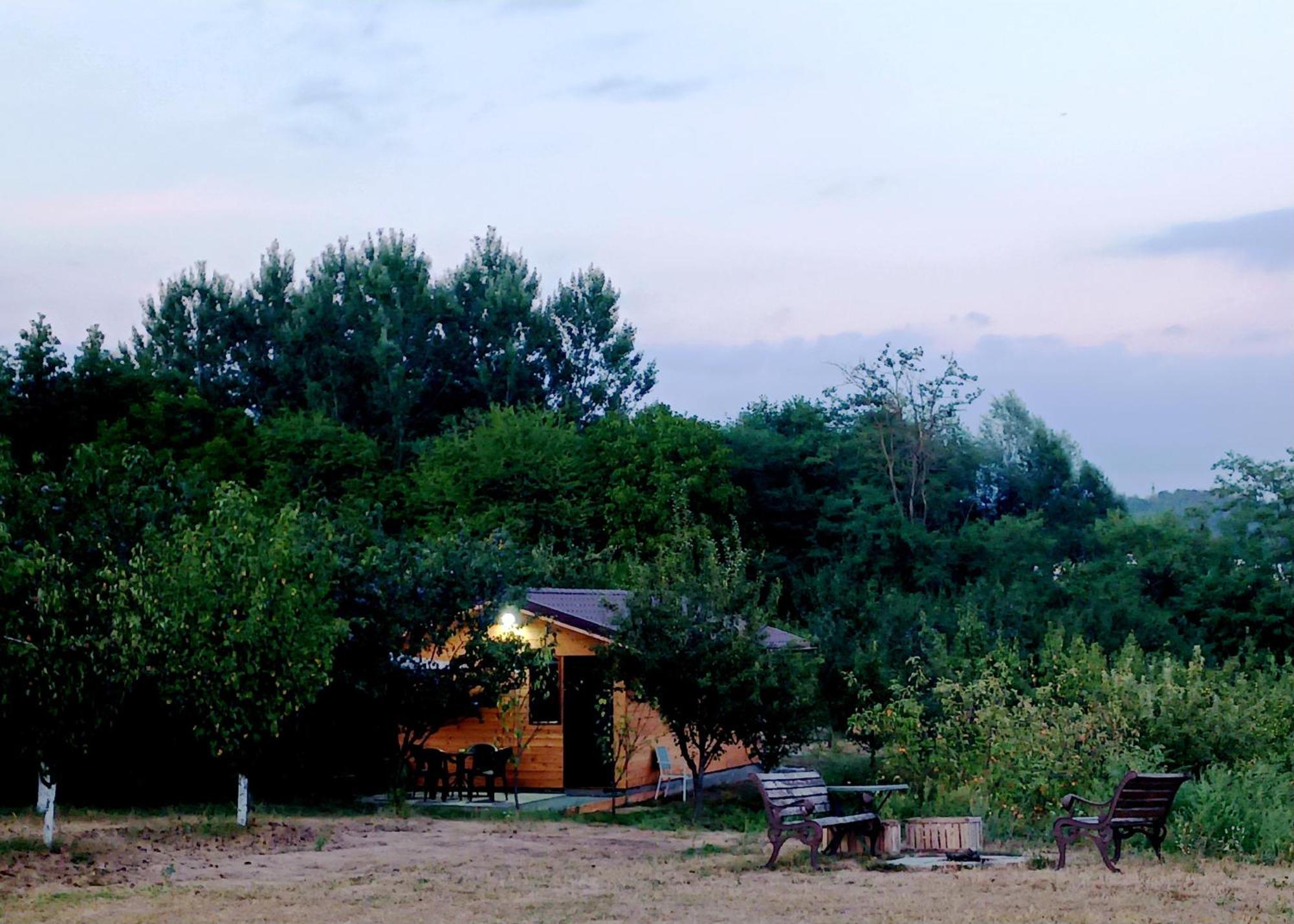 Villa La Livada Valea Danului Exterior foto